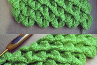 Hasta luego, cocodrilo!!!