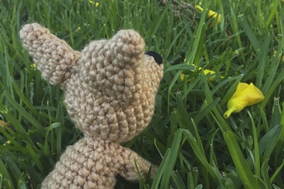 Pincher (amigurumi!)