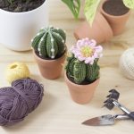 Patrón Cactus Echinocereus Amigurumi