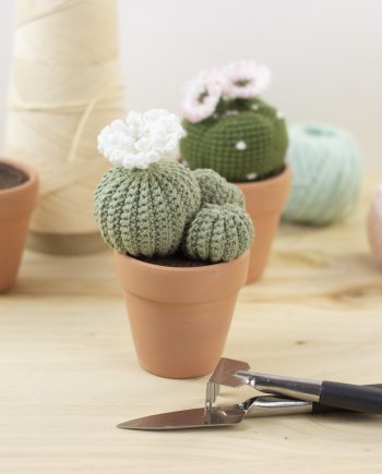 Patrón Cactus Rebutia Amigurumi