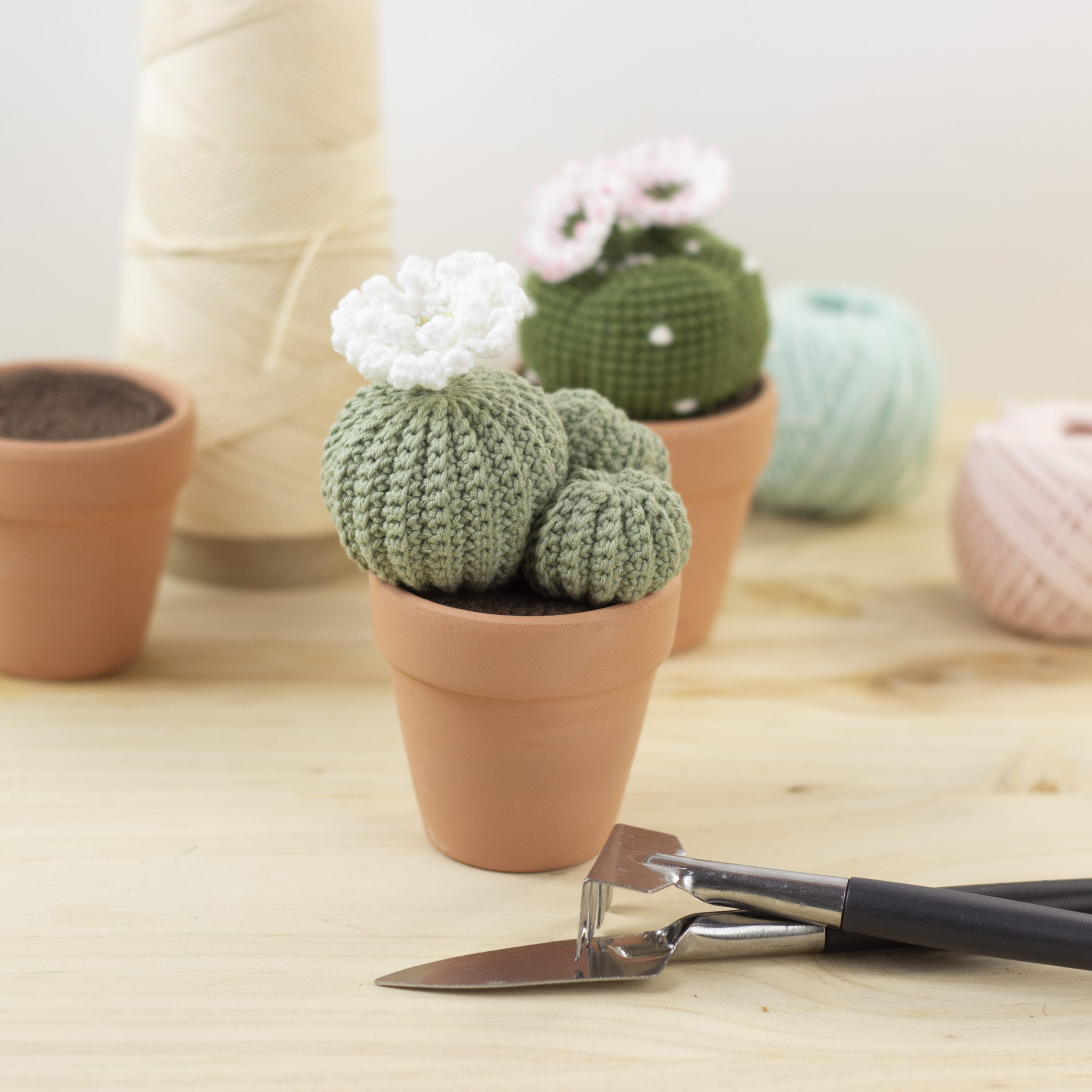 Patrón Cactus Rebutia Amigurumi