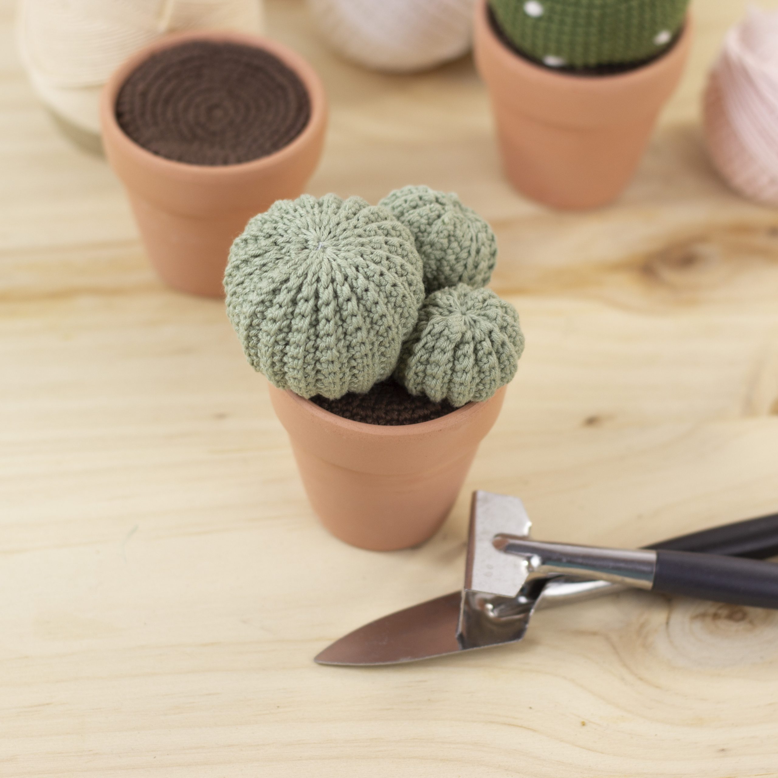 Patrón Cactus Rebutia Amigurumi - Imagen 2